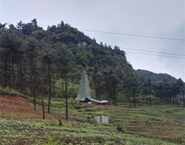 把脈“黔”鋅地，問診開良方